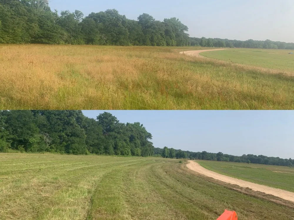 Custom lawn care service near you across Hodge, LA - HD Property Maintenance