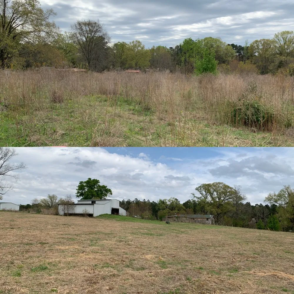 Custom lawn care service in Hodge, LA - HD Property Maintenance