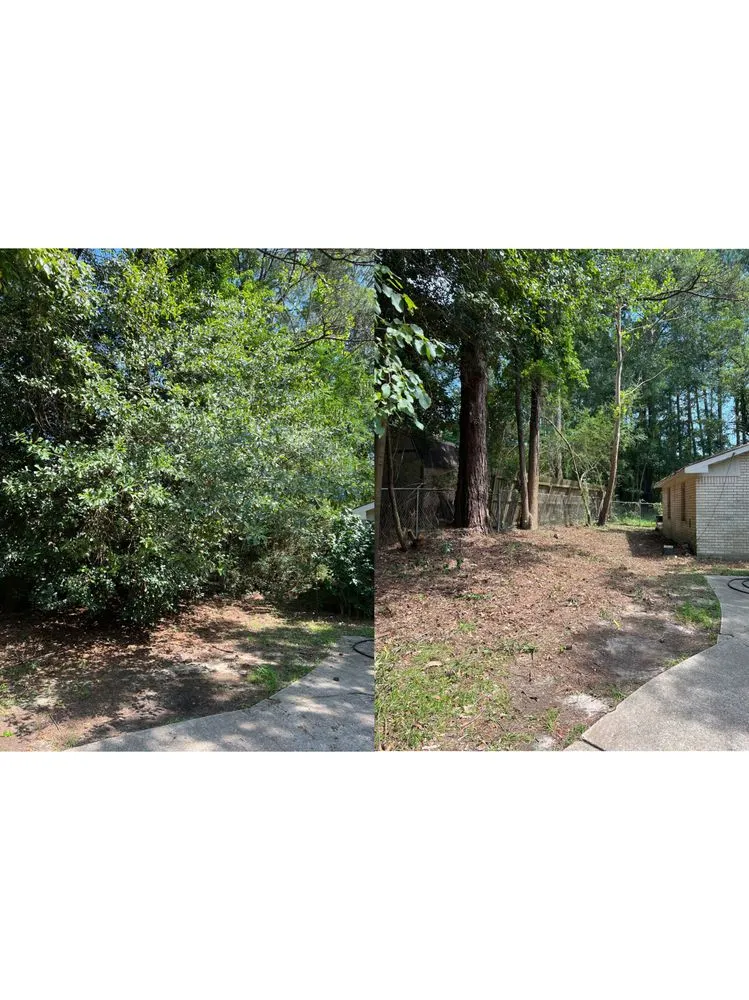 Reliable lawn mowing service for year-round maintenance across Hodge, LA - HD Property Maintenance
