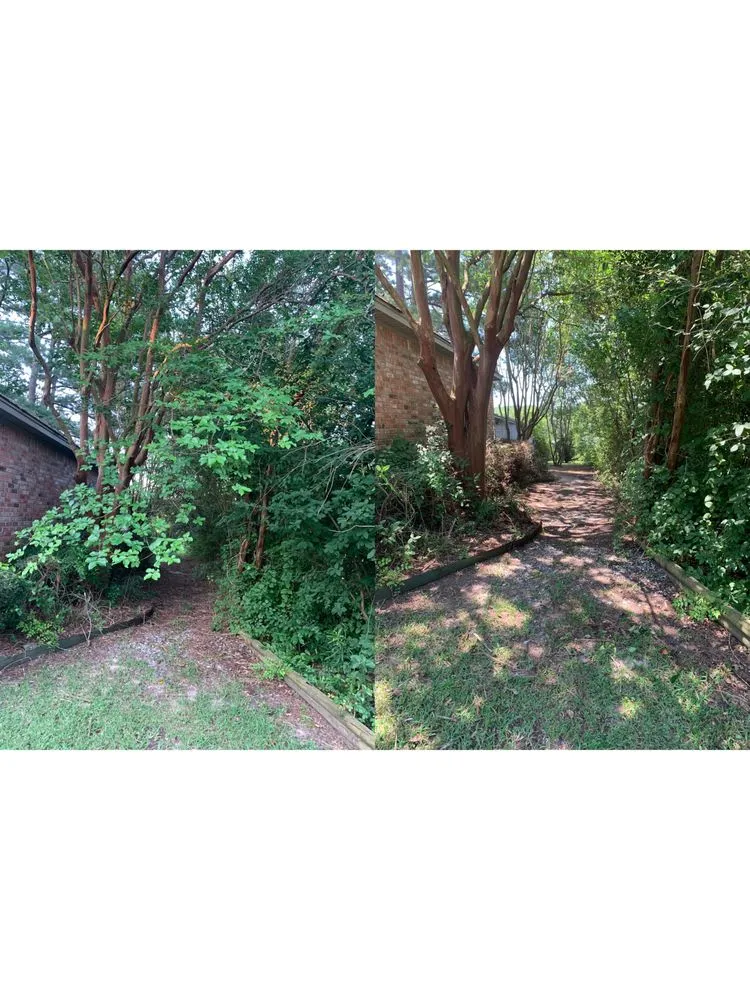 Professional landscape design in Hodge, LA by HD Property Maintenance