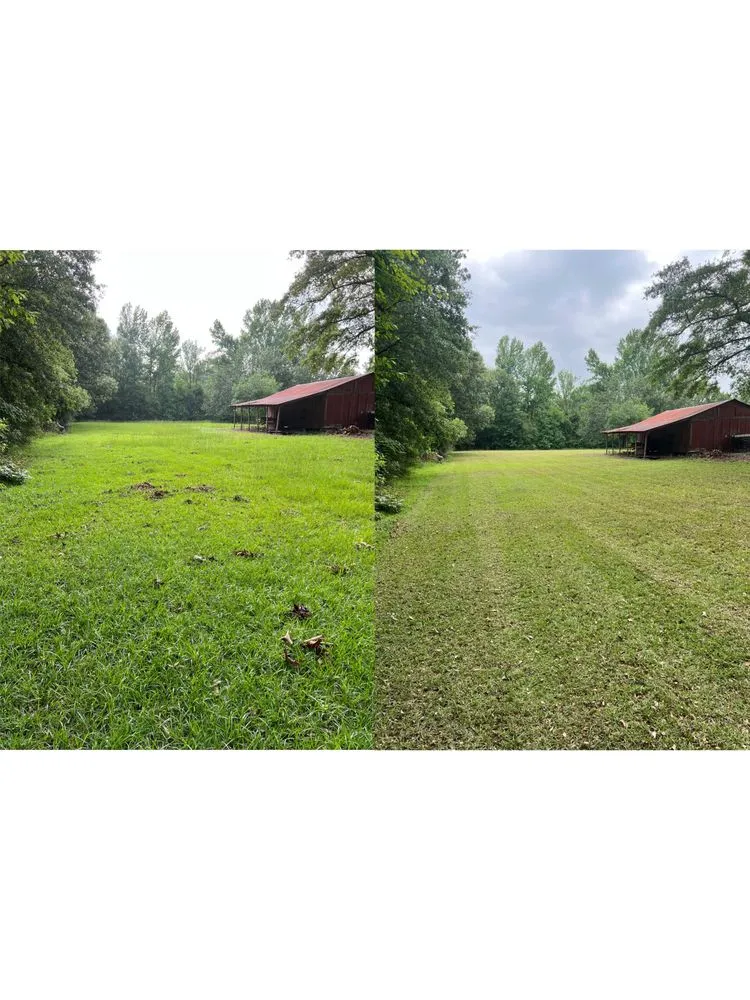 Affordable lawn care service experts serving Hodge, LA - HD Property Maintenance