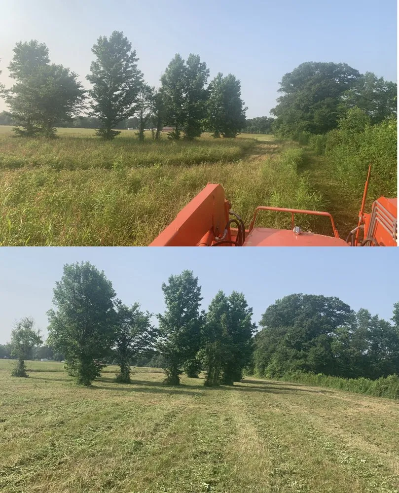 Top-rated landscaping services in Hodge, LA by HD Property Maintenance