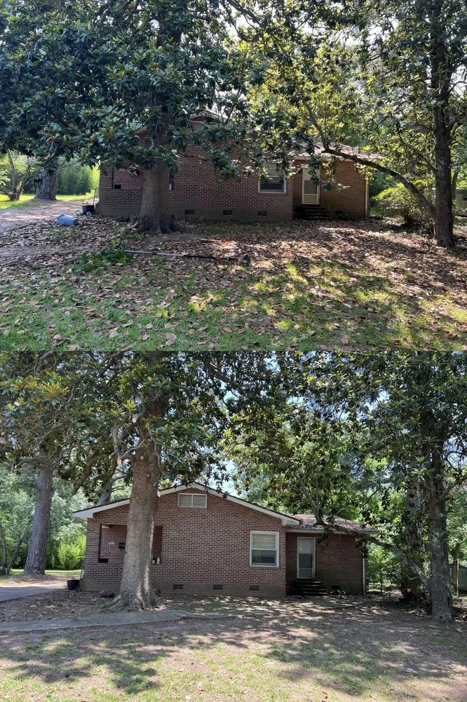 Top-rated yard cleanup service for residential properties in Hodge, LA by HD Property Maintenance