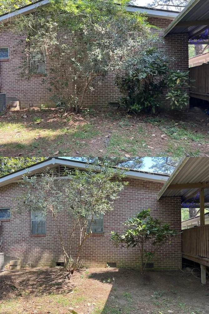 Custom landscaping services for beautiful yards across Hodge, LA - HD Property Maintenance