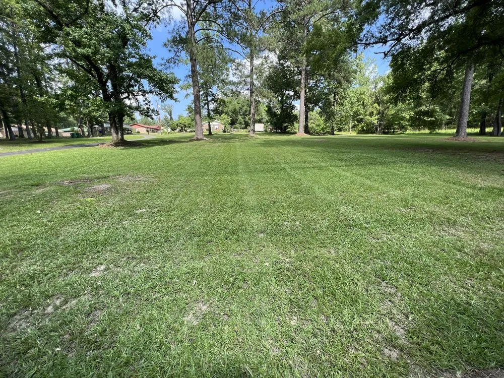 Top-rated outdoor landscaping in Hodge, LA by HD Property Maintenance