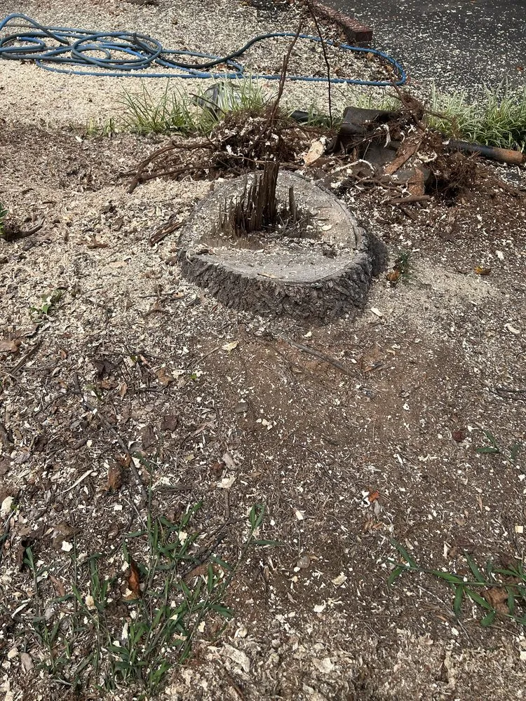 Custom yard cleanup service experts serving Dobson, NC - H&D Services