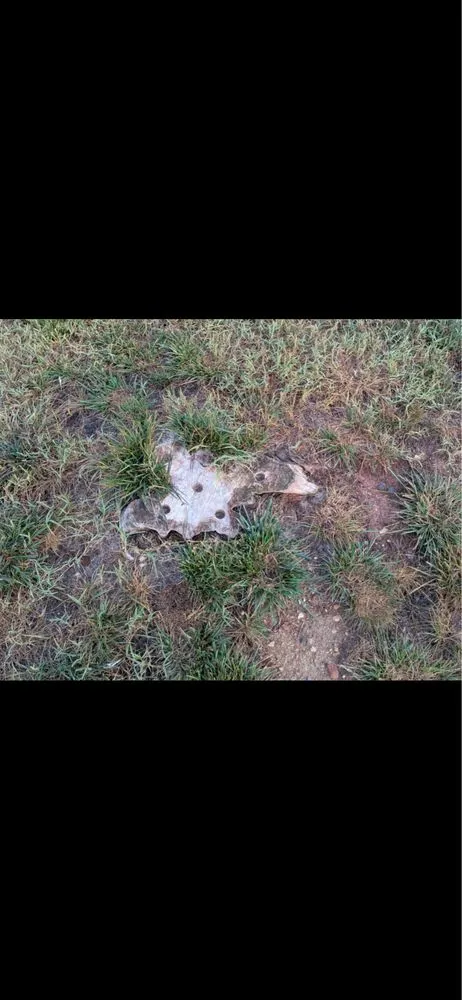 Trusted lawn care service in Dobson, NC - H&D Services