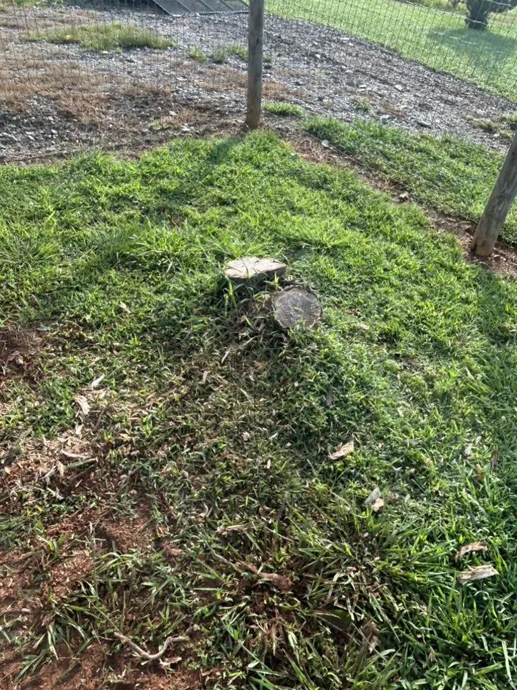 Local garden landscaping in Dobson, NC - H&D Services