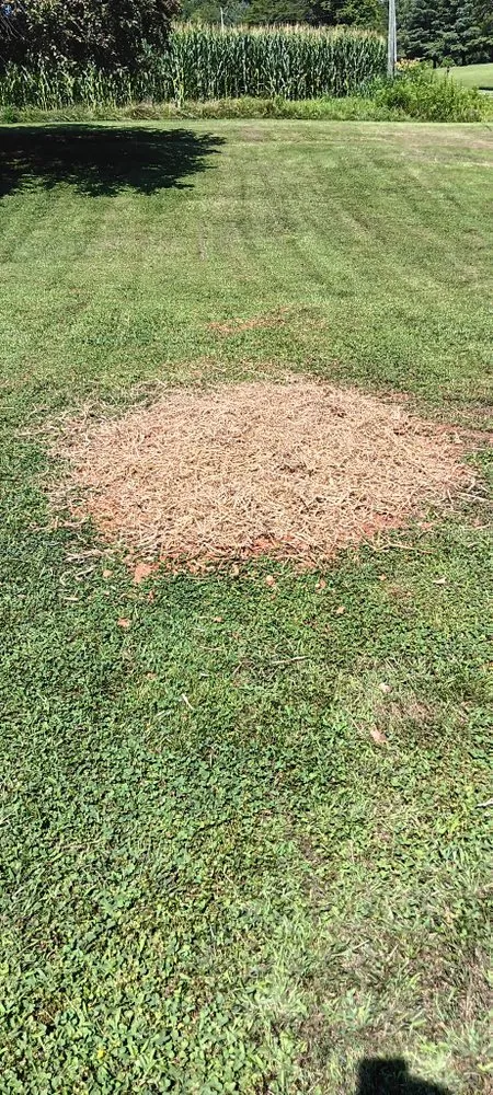 Local garden landscaping in Dobson, NC by H&D Services