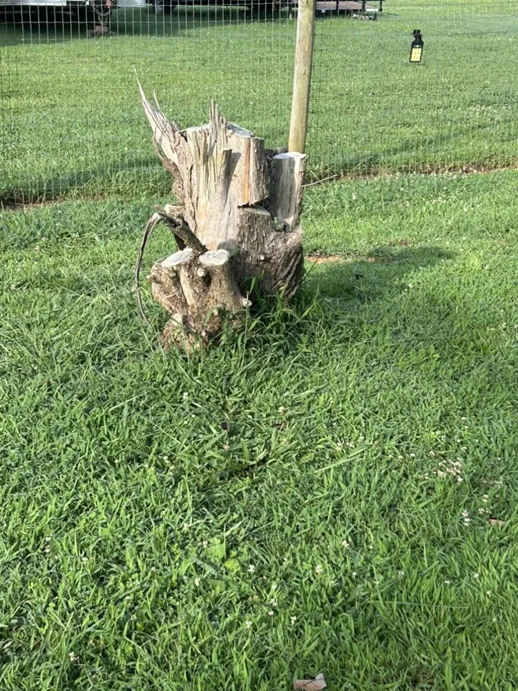 Expert garden landscaping for homes in Dobson, NC by H&D Services