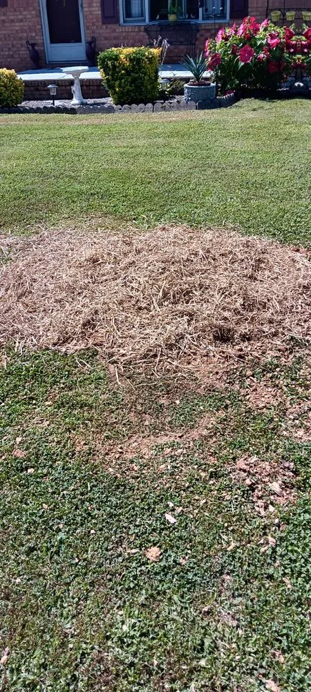 Affordable garden landscaping near you in Dobson, NC by H&D Services