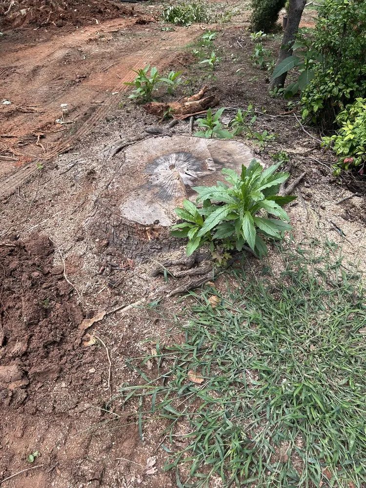 Reliable landscaping services in Dobson, NC - H&D Services