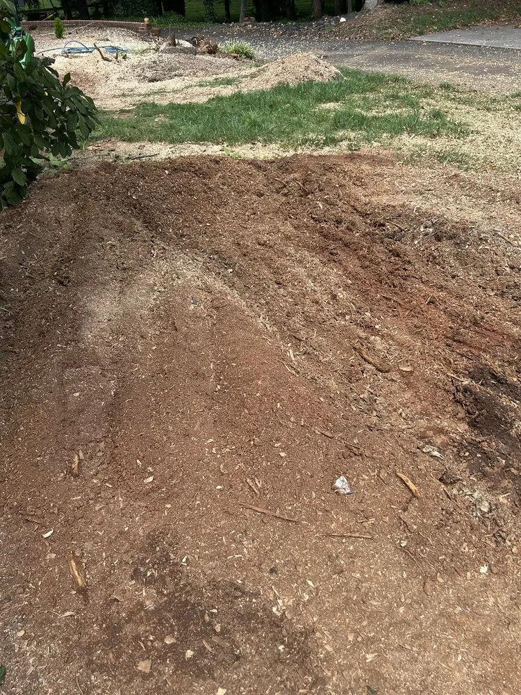 Trusted yard cleanup service in Dobson, NC by H&D Services