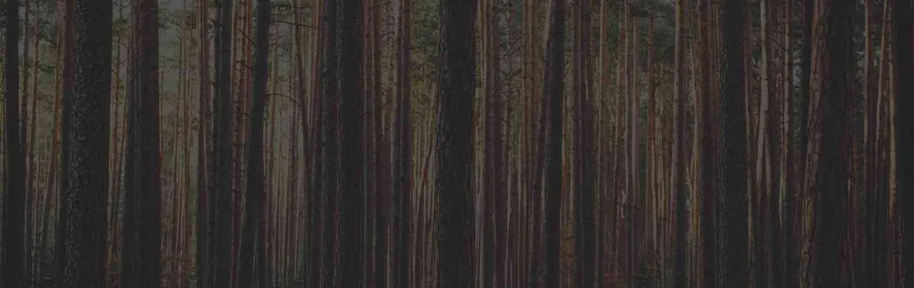 Trusted yard maintenance experts serving Wyandotte, MI - HD Stump Grinding