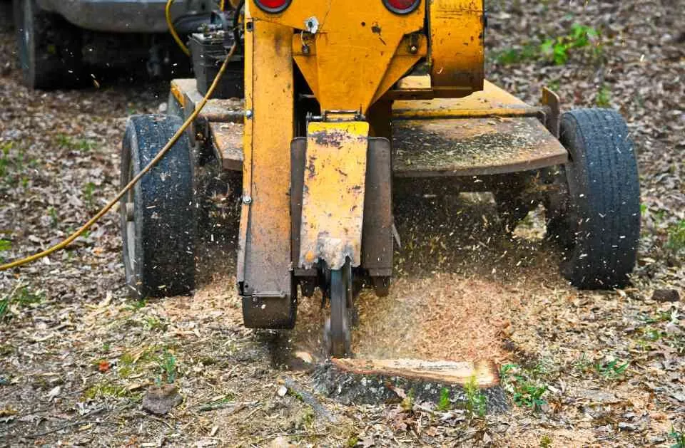 Trusted yard maintenance in Wyandotte, MI - HD Stump Grinding