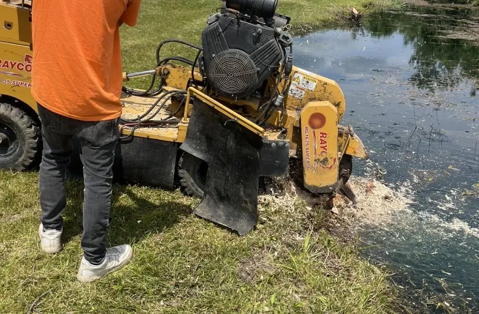 Top-rated landscape design in Wyandotte, MI by HD Stump Grinding