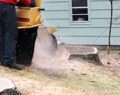 Local lawn care service in Wyandotte, MI by HD Stump Grinding