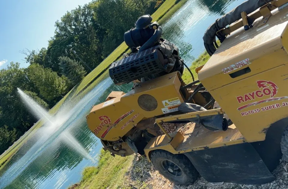 Trusted residential landscaping in Wyandotte, MI - HD Stump Grinding