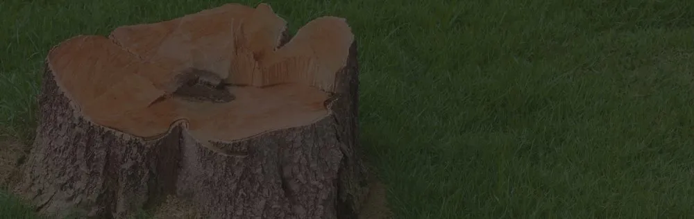 Top-rated landscape installation for year-round maintenance in Wyandotte, MI by HD Stump Grinding