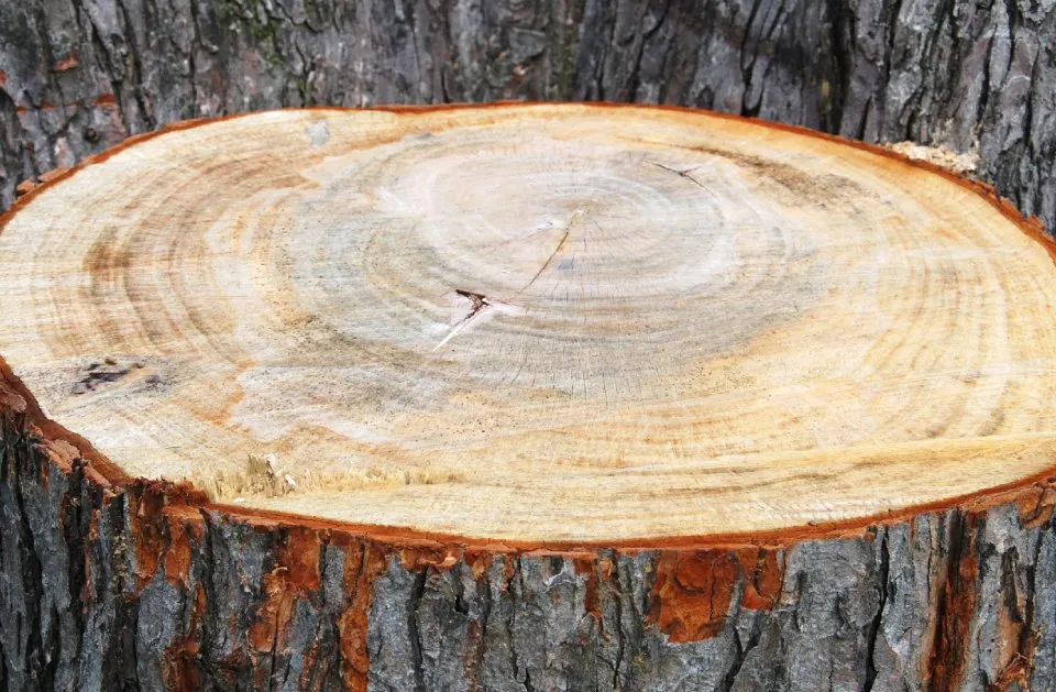 Affordable garden landscaping with custom design across Wyandotte, MI - HD Stump Grinding