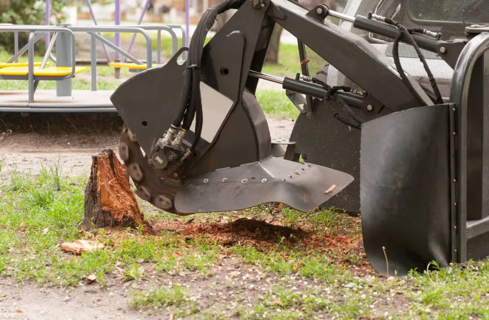 Local landscape design near you in Wyandotte, MI by HD Stump Grinding