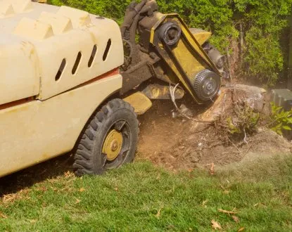 Trusted yard maintenance for outdoor upgrades in Wyandotte, MI by HD Stump Grinding