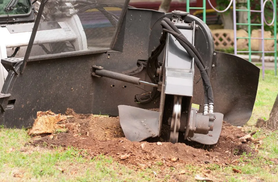 Reliable yard cleanup service in Wyandotte, MI - HD Stump Grinding