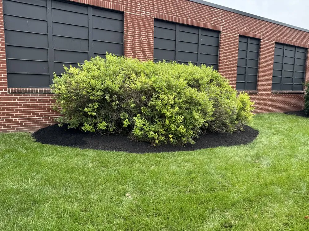 Top-rated lawn care service for year-round maintenance in Warminster, PA by H&D Total Property Solutions