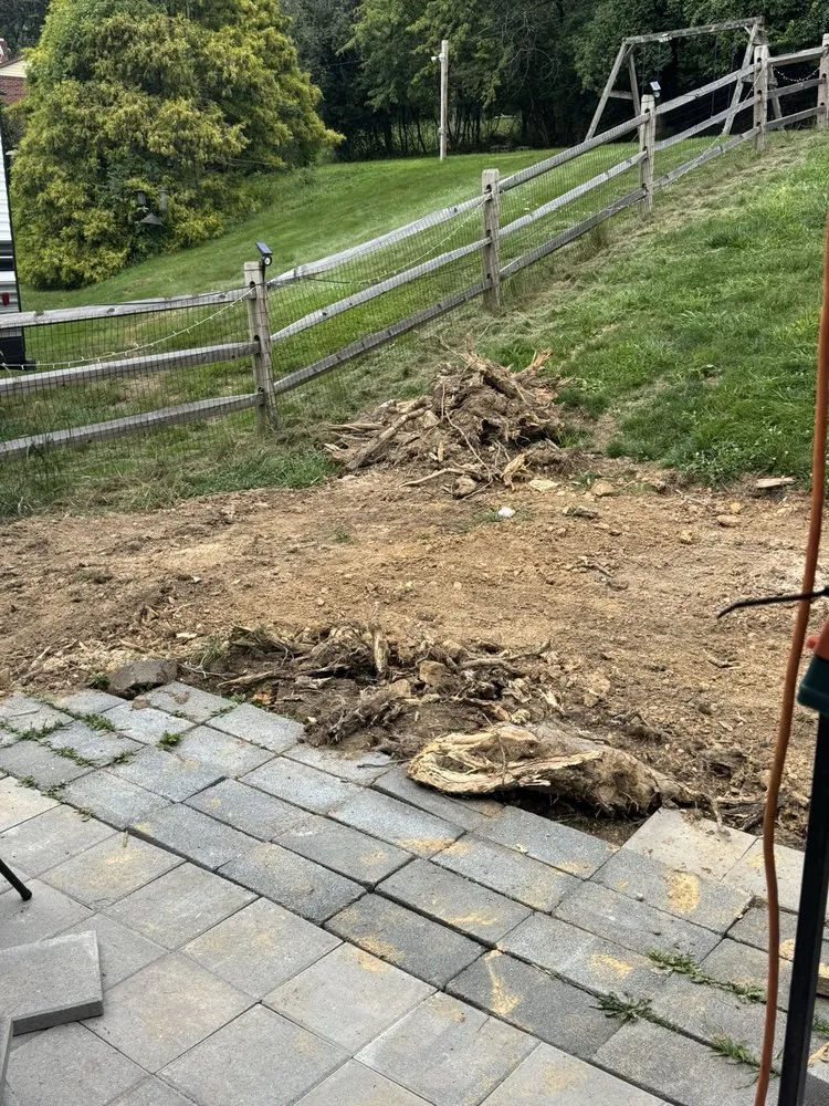 Trusted yard maintenance experts serving Warminster, PA - H&D Total Property Solutions