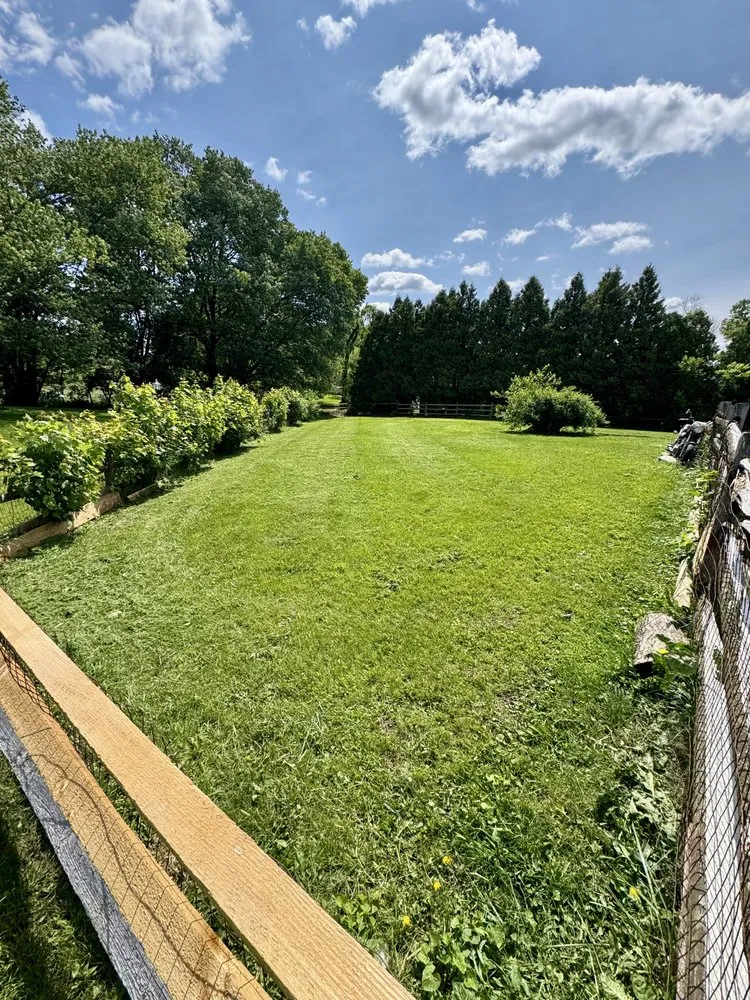 Custom lawn care service experts serving Warminster, PA - H&D Total Property Solutions