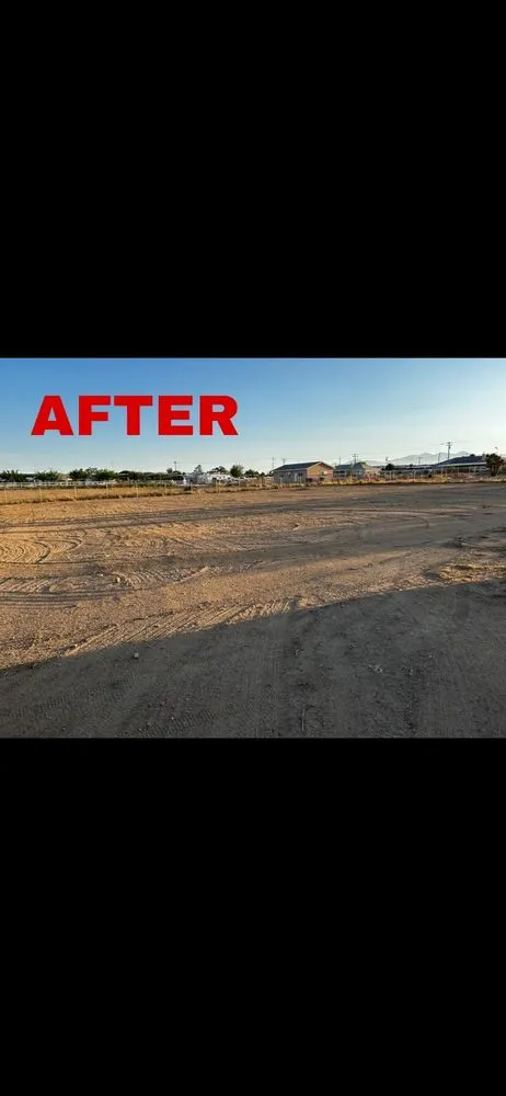 Professional residential landscaping for year-round maintenance across Hesperia, CA - HD weed control