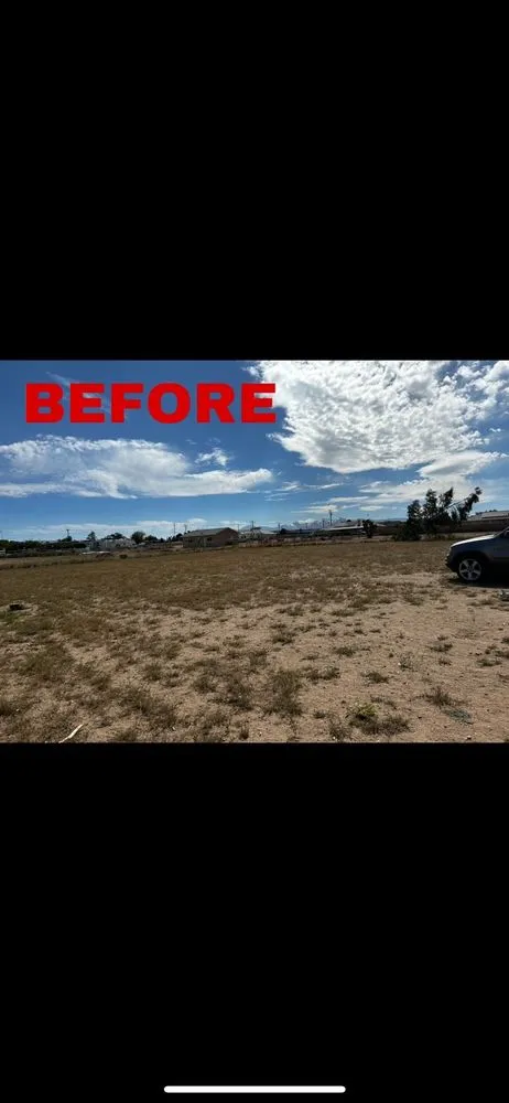 Affordable garden landscaping for year-round maintenance in Hesperia, CA by HD weed control