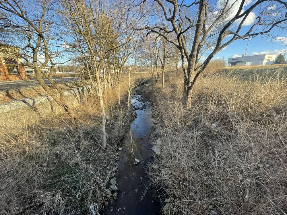 Professional yard cleanup service in Worthington Hills, KY by Hda lawn service