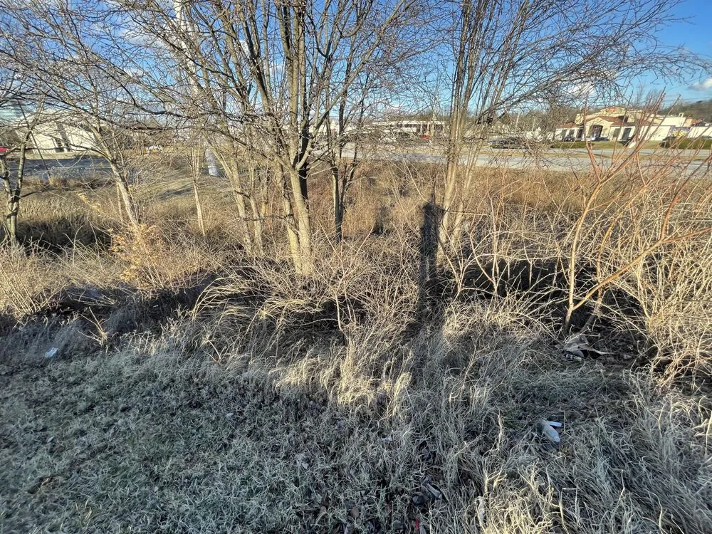 Affordable yard maintenance in Worthington Hills, KY - Hda lawn service