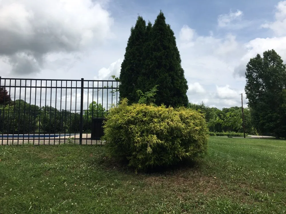 Local landscape installation experts serving Clarksville, TN - Hdceservices