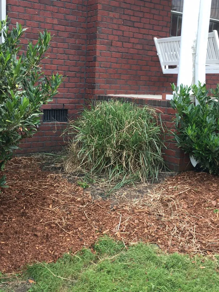 Expert yard cleanup service for beautiful yards in Clarksville, TN by Hdceservices