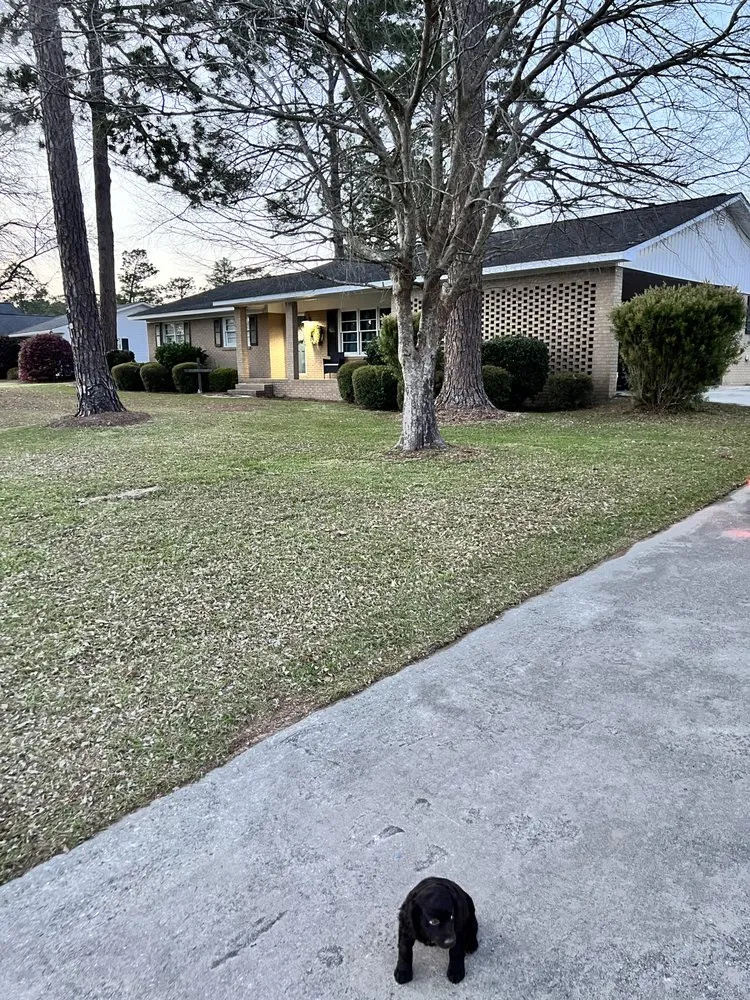 Affordable outdoor landscaping in Baxley, GA by HDH Land Maintenance