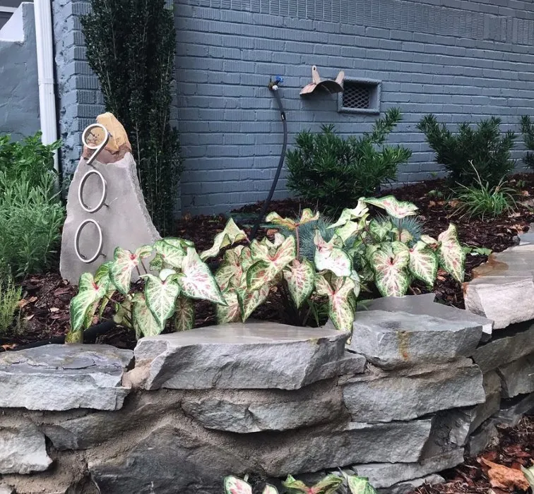 Trusted yard cleanup service for outdoor upgrades in Dora, AL by HDR Landscapes