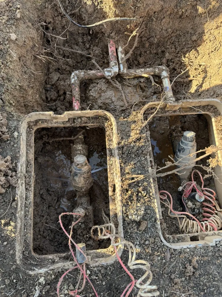 Custom yard cleanup service in Phoenix, AZ - HDZ Irrigation