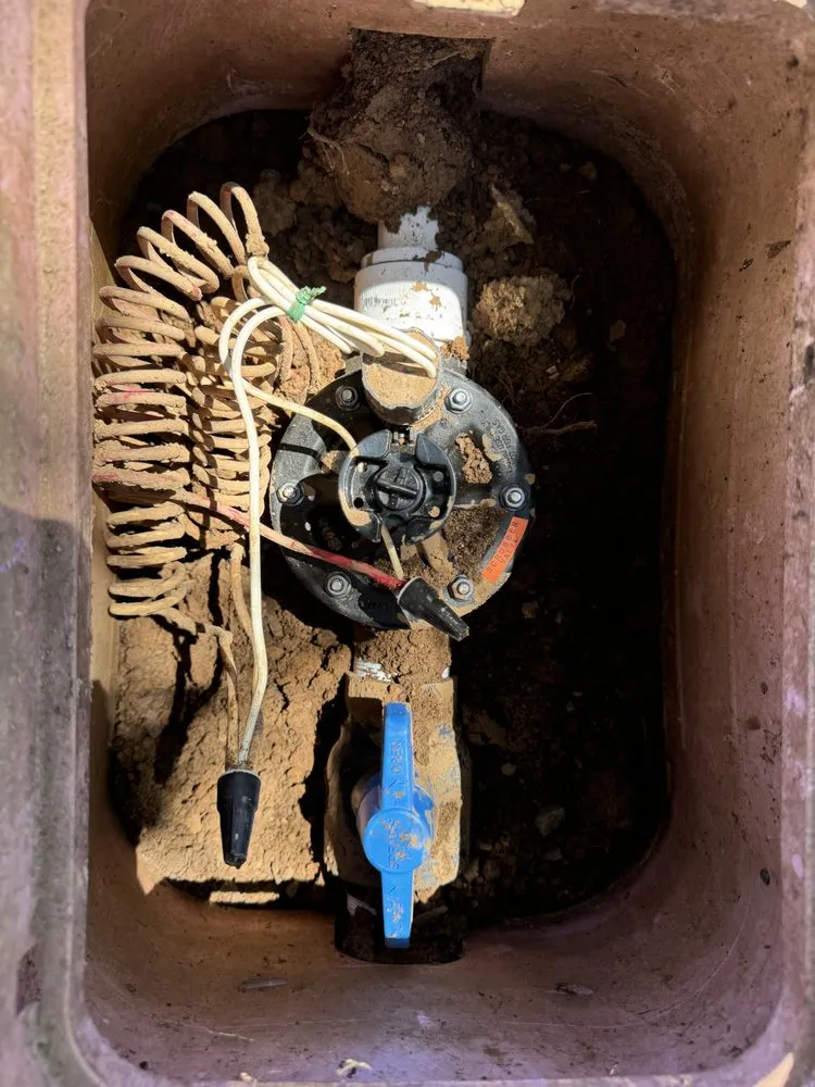 Expert landscaping services for beautiful yards across Phoenix, AZ - HDZ Irrigation