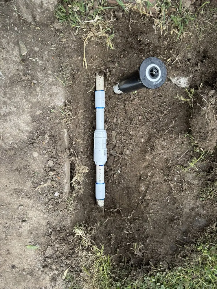 Affordable landscape design for residential properties in Phoenix, AZ by HDZ Irrigation