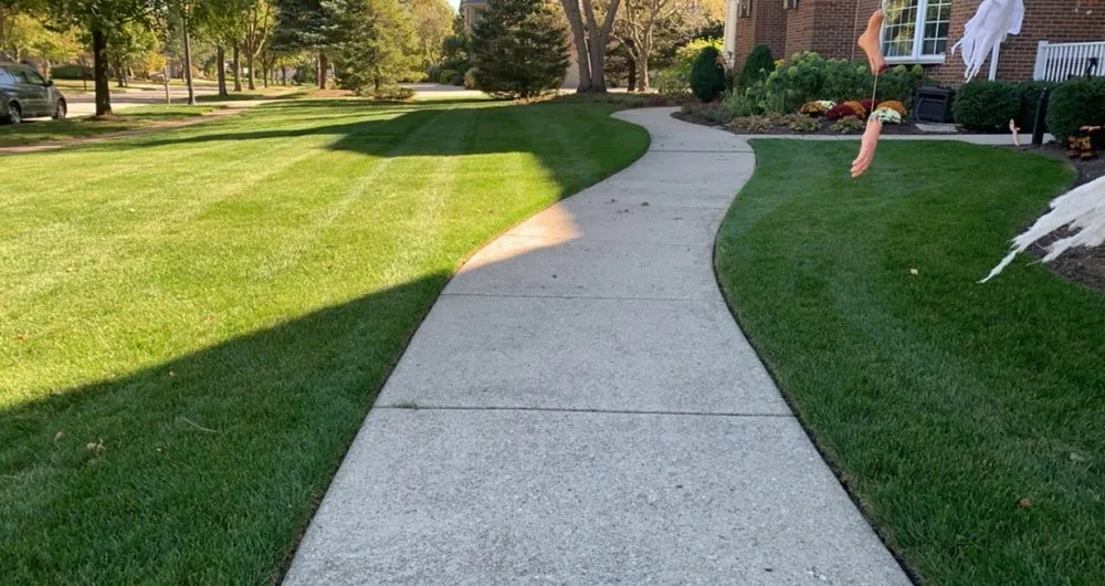 Reliable yard cleanup service in Phoenix, AZ by HDZ Irrigation