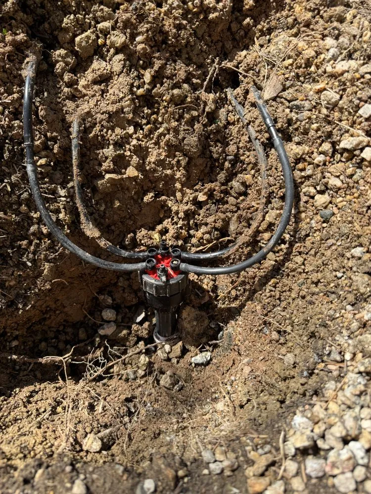 Expert lawn care service for residential properties in Phoenix, AZ by HDZ Irrigation