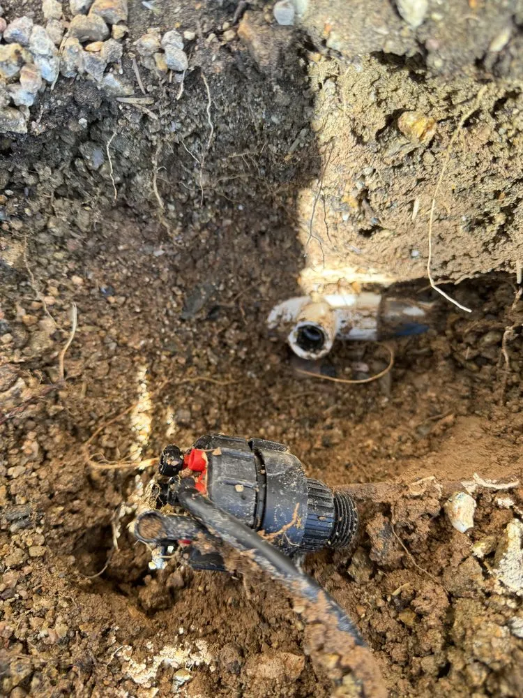 Professional lawn care service for residential properties in Phoenix, AZ by HDZ Irrigation