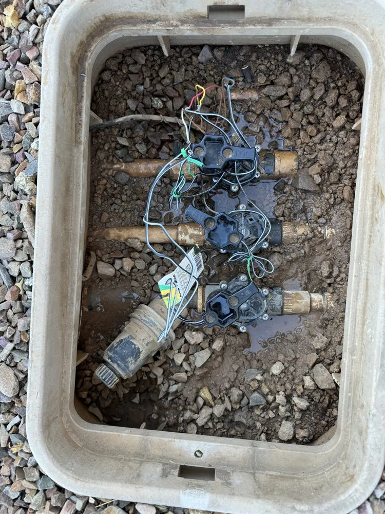 Professional yard cleanup service experts serving Phoenix, AZ - HDZ Irrigation