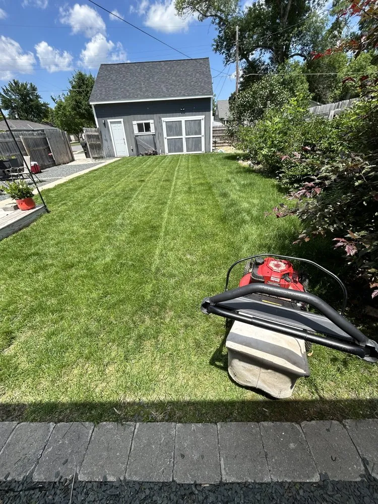 Reliable yard cleanup service in Saint Peter, MN by HDZ lawncare