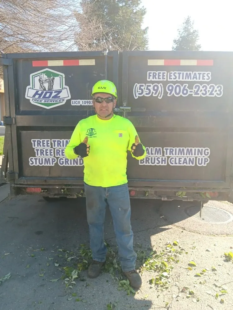 Affordable lawn care service in Fresno, CA - Hdz Tree Services