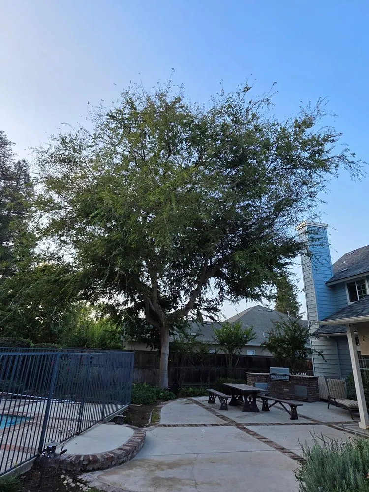 Top-rated lawn mowing service for residential properties across Fresno, CA - Hdz Tree Services