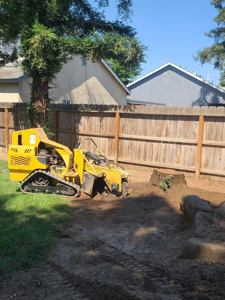 Local yard maintenance experts serving Fresno, CA - Hdz Tree Services