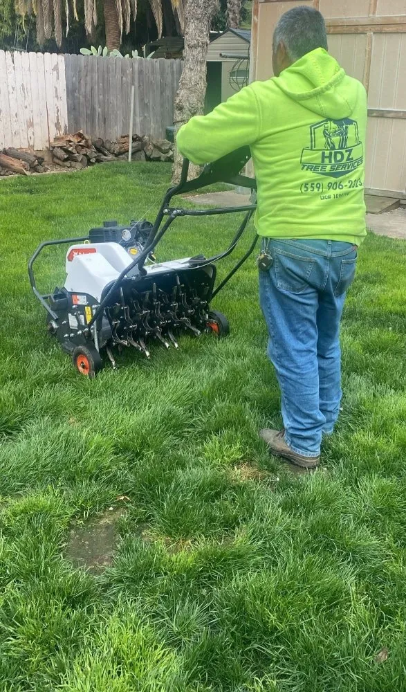 Trusted outdoor landscaping in Fresno, CA - Hdz Tree Services